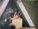 Kate Bush Lionheart Vinyl LP 1985 UK Rare Reissue Album FAME – FA 41 30941 500
