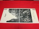Julie Driscoll, Brian Auger & The Trinity ?/ Streetnoise / 35MM-0198/9 /JAPAN LP