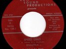 ENALPRIA - FLORIDA HEAVY PSYCH PRIVATE PRESS 45 - SPEED LIMIT & SLIDING - HEAR