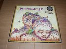 Dinosaur Jr. - Chocomel Daze (Live 1987 Nijmegen) - LP - Marq Spusta - SEALED