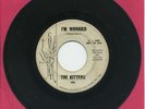 THE KITTENS   I'm Worried   Doo Wop/Girl Group promo   CHESTNUT $