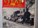 Steam in the Sunshine State Vinyl LP Record