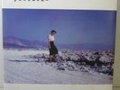 ‘Blue Screen Life’ Pinback – Double LP Clear Vinyl in Sleeve 2001