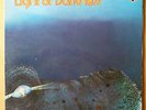 LP: LIGHT OF DARKNESS - Same - Original Philips (Germany) 1971 - 1. Pressung