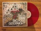 TRAPPED UNDER ICE ANGEL DU$T TURNSTILE SAI NAM DOWN TO NOTHING FOUNDATION EXPIRE