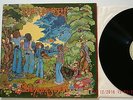 Vinyl-