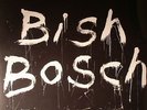 WALKER, Scott - Bish Bosch - Vinyl (180 gram vinyl 2xLP + CD + booklet)