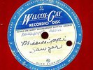 MYSTERY ARTIST.STRING BAND.MISSISSIPPI SAWYER/FLOP EARED MULE.10