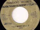 Rare MODERN SOUL BOOGIE 45 - JUNEI - YOU MUST GO ON - PHARAOHS GARY INDIANA