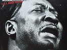 Muddy Waters: McKinley Morganfield AKA Muddy Waters-1971 1st Edition Promo LP