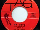 LENNY & THE CHIMES 45 My Love / Paradise VG++ Doo Wop ORIGINAL e7944