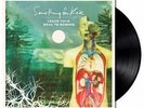 SOMETHING FOR KATE - LEAVE YOUR SOUL TO SCIENCE (VINYL) NEW VINYL