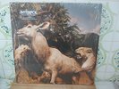 INTERPOL our love to admire RARE 2007 UK LP 2 VINYL CAPITOL INDIE BEST OF
