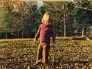 The Allman Brothers Band-Brothers and Sisters  VINYL NEUF