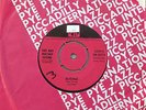 Revenge / Raunchy - The Ray Macvay Sound