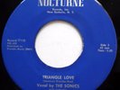 THE SONICS 45 Triangle Love / Evil Eye VG++ Doo Wop e8031