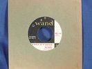 HOLLIN FOR MY DARLIN / IT WON'T BE LONG NOW Rivals Wand Garage Blues 1960 45 RPM