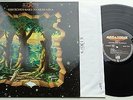 KLP198 - King's X - Gretchen goes to Nebraska (781 997-1) German LP + OIS