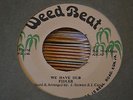 reggae digi 45 FIDLER Mek We All Have Fun HEAR weed beat dancehall