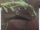 *SEALED* IGUANA [S/T] LION LN 1011 RARE PSYCH PROG