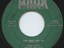 HEAR- Rare Rockabilly 45 - Terry Daly & Nu-Tones - You Don't Bug Me- Mark # M122