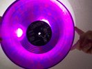 MISFITS Earth A.D. Wolfs Blood Plan 9 1983 First Press PURPLE SWIRL VINYL /RARE/