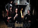 WITCHCRAFT - FIREWOOD LP, rise above rec. , new copy,