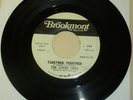 WASHINGTON D C GARAGE PSYCH 45 RPM RECORD -THE LOVED ONES - BROOKMONT 556- PROMO