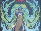 Heavy Heads Voyage 2 LP 1969 Muddy Waters Howling Wolf John Lee Hooker blues
