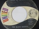 Funk/Deep Soul 45 - Black Exotics - Theme Of Blackbyrds - United - mp3