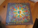 Jethro Tull Roots to Branches Chrysalis 1995 UK A-D-01 First Press EX/EX+ LP