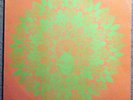 MAGIC MUSHROOM BAND  Process Of Illumination  1990 U.K. psych lp  Porcupine Tree