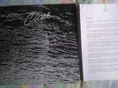Robert Palmer/Clues.1980 UK Island LP + Promo Press Pack.