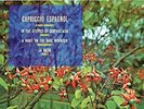V/ A-RIMSKY-KORSAKOV/CAPRICCIO ESPAGNOL-VINYL LP HI-Q RECORDS NEU