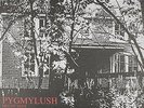 PYGMY LUSH-MOUNT HOPE-VINYL LP  NEU