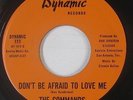 Northern Soul 45 - Commands - Don't Be Afraid To Love Me - Dynamic - VG++ mp3