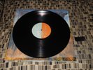 Blink 182 Dude Ranch Deluxe Black vinyl  SRC