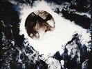 Tangerine Dream - Alpha Centauri - Ltd 180g G/F Sleeve
