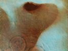 LP Pink Floyd Meddle LP  Harvest ?– SHVL 795