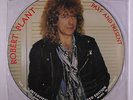 ROBERT PLANT: Past And Present - Interview Picture Disc LP (UK, pic disc, PVC s