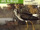 Jets To Brazil Four Cornered Night LP