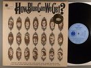 How Blue Can We Get?  Various Artists UK Blue Horizon Label  Blues British Blues