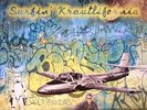 PSYCHEDELIC SCHAFFERSON JETPLANE, The - Foxtrot Sierra's Surfin' Krautlifornia