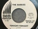 The Barries - Tonight Tonight / Mary Ann PROMO 45 Ember records doo wop soul
