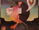 NICK DRAKE 