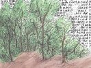Earth Is Not A Cold Dead Place by Explosions in the Sky.