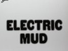 Electric Mud - Muddy Waters (2009, Vinyl NEW)