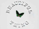 The Stone Roses - Beautiful Thing 12
