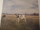 LP PINK FLOYD DARK SIDE OF MOO OUT TAKES PSYCH RARE SCREAMING ABDABS TRIXIE NM