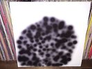 GATE - THE LAVENDER HEAD LP - (MICHAEL MORLEY/DEAD C)HHH04 1998